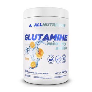Glutamine - 500g 100-71-4064882-20 фото