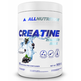 Creatine Muscle Max - 500g Lemon Lime 100-25-3094513-20 фото